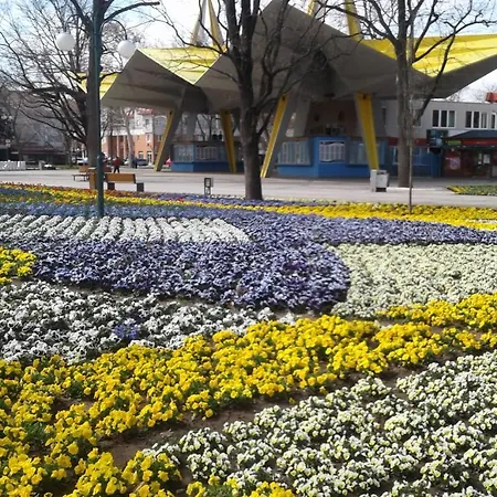 Marina Apartman *